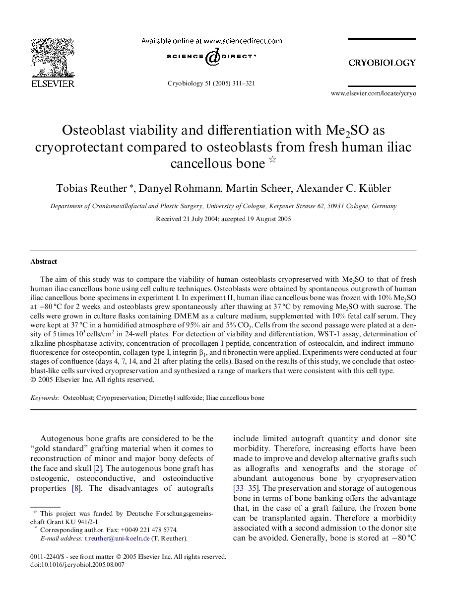 Osteoblast viability and differentiation with Me2SO as cryoprotectant compared to osteoblasts from fresh human iliac cancellous bone