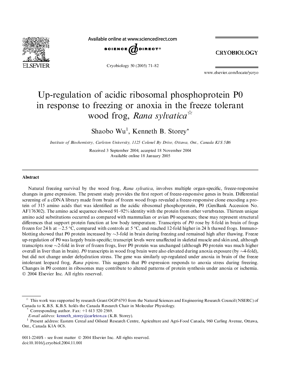 Up-regulation of acidic ribosomal phosphoprotein P0 in response to freezing or anoxia in the freeze tolerant wood frog, Rana sylvatica