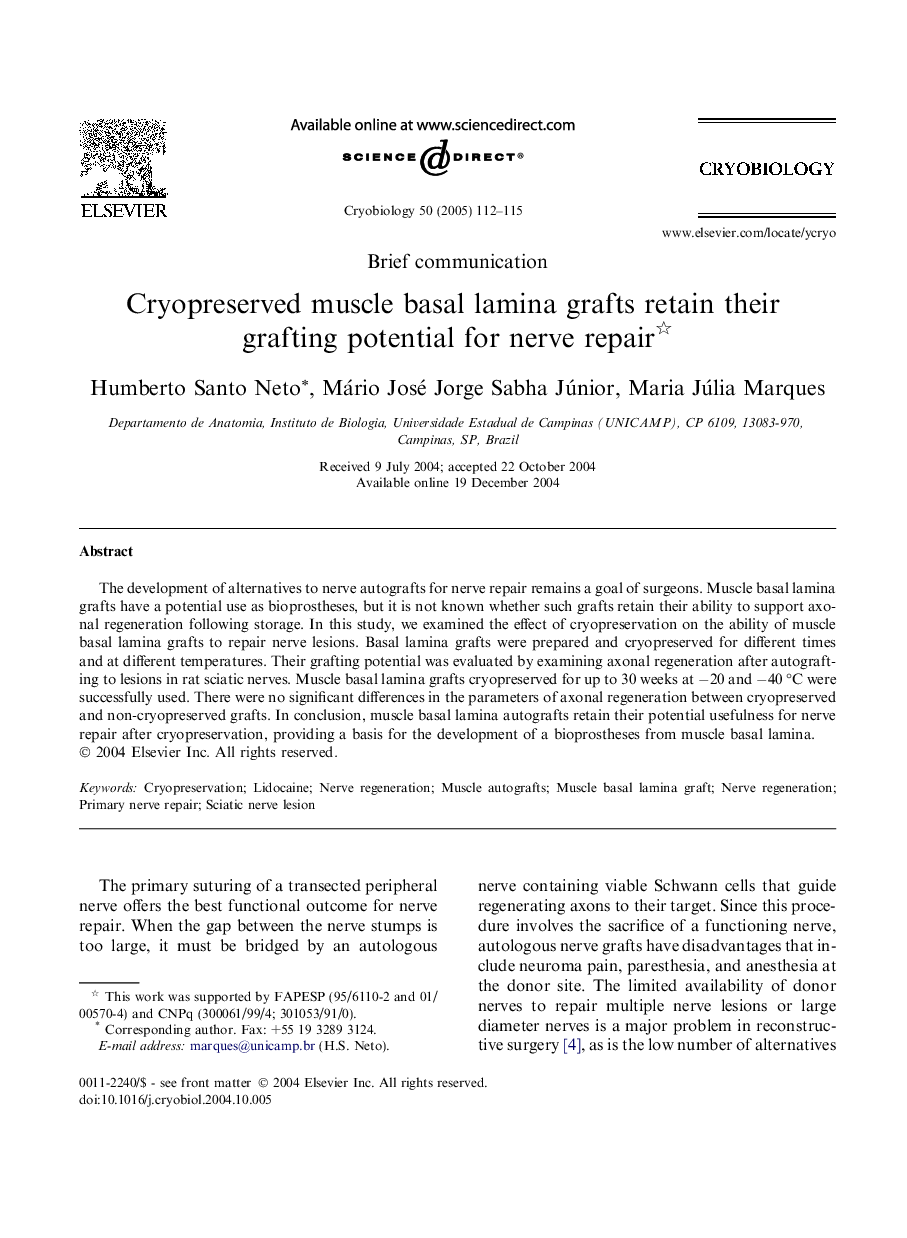 Cryopreserved muscle basal lamina grafts retain their grafting potential for nerve repair