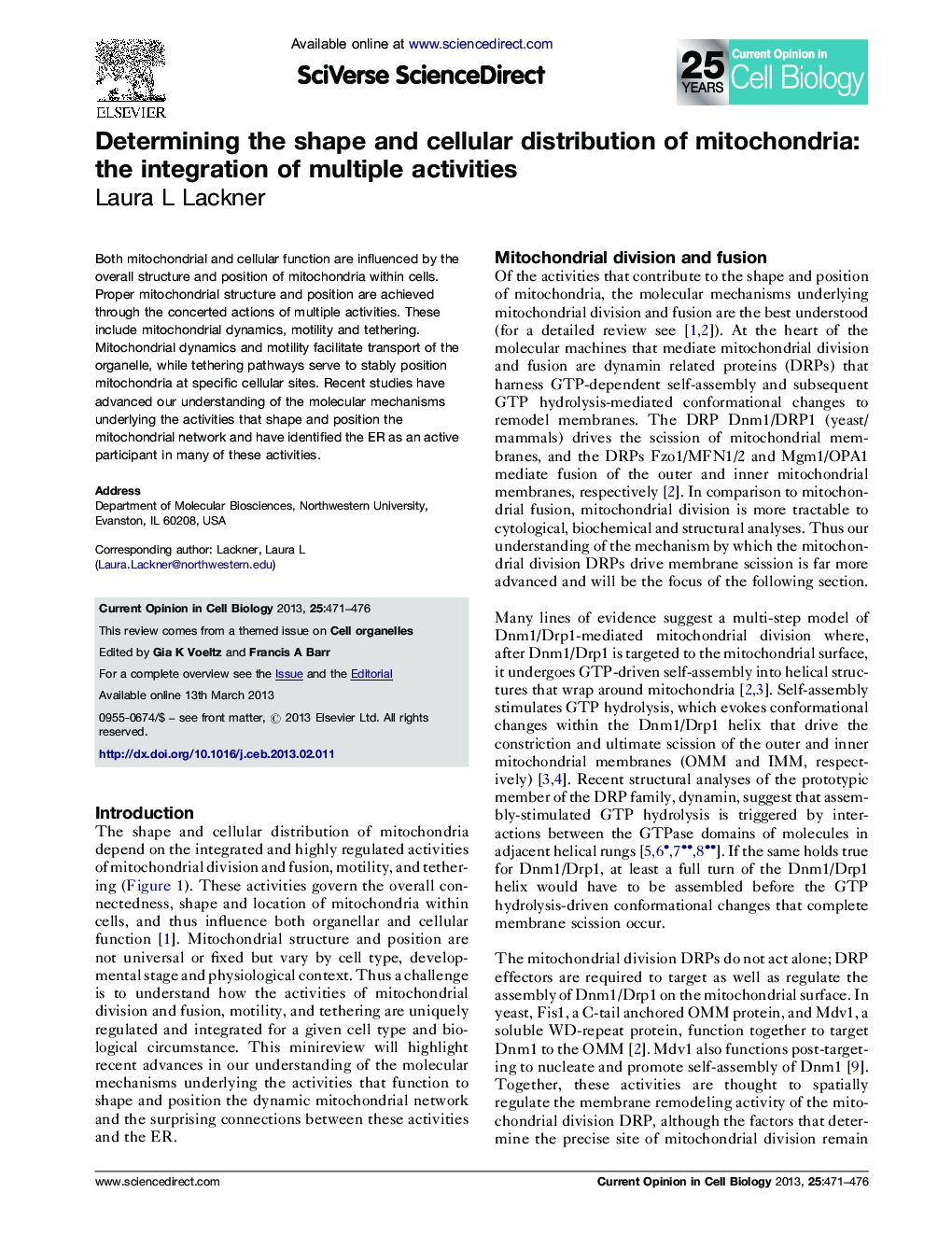 Determining the shape and cellular distribution of mitochondria: the integration of multiple activities