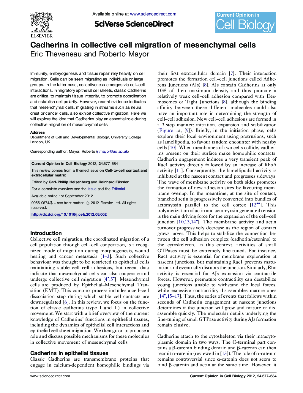 Cadherins in collective cell migration of mesenchymal cells