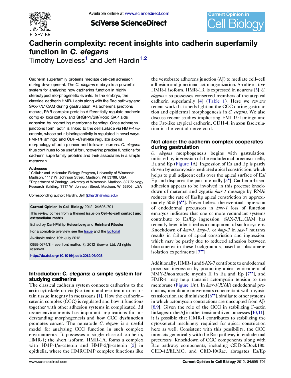 Cadherin complexity: recent insights into cadherin superfamily function in C. elegans