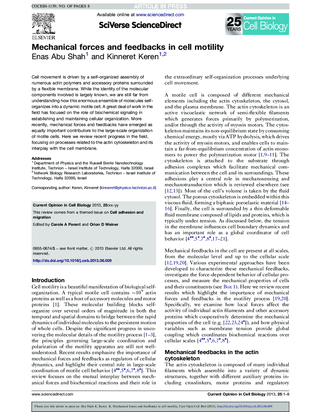 Mechanical forces and feedbacks in cell motility