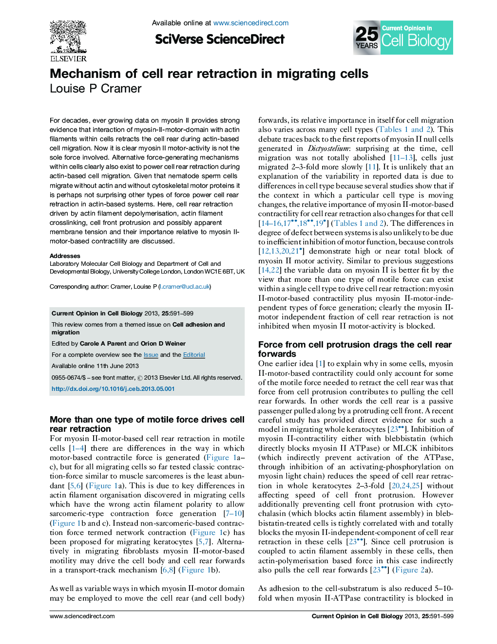 Mechanism of cell rear retraction in migrating cells