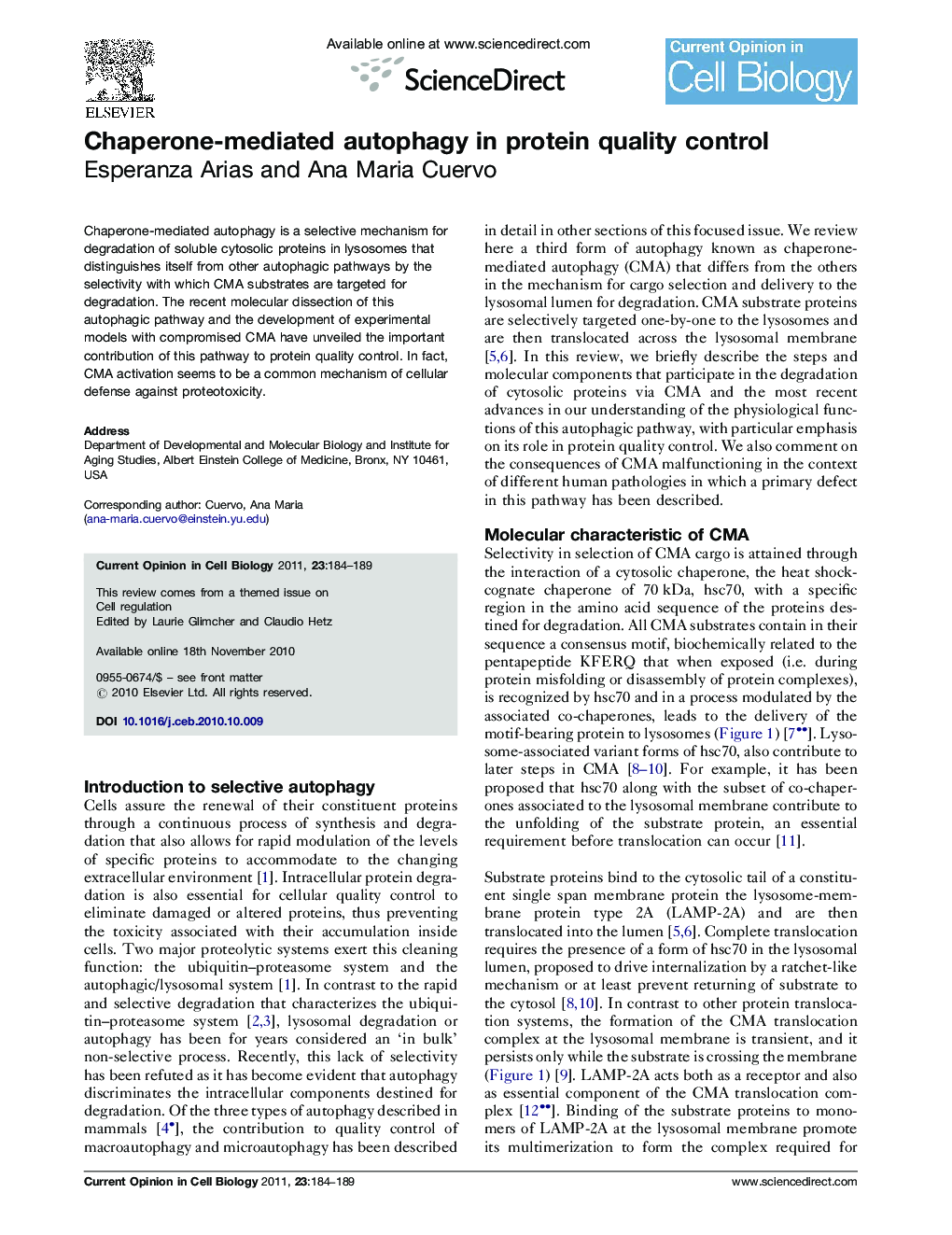 Chaperone-mediated autophagy in protein quality control