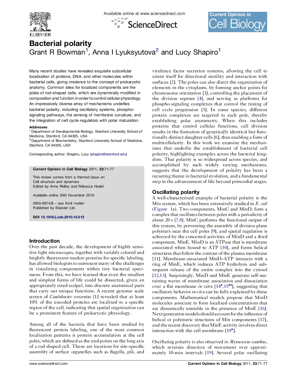 Bacterial polarity