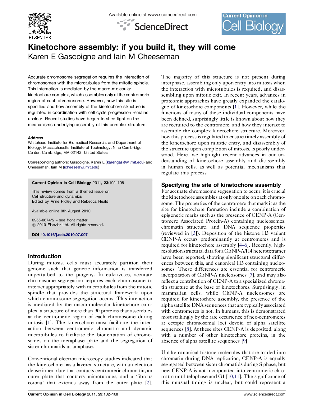 Kinetochore assembly: if you build it, they will come