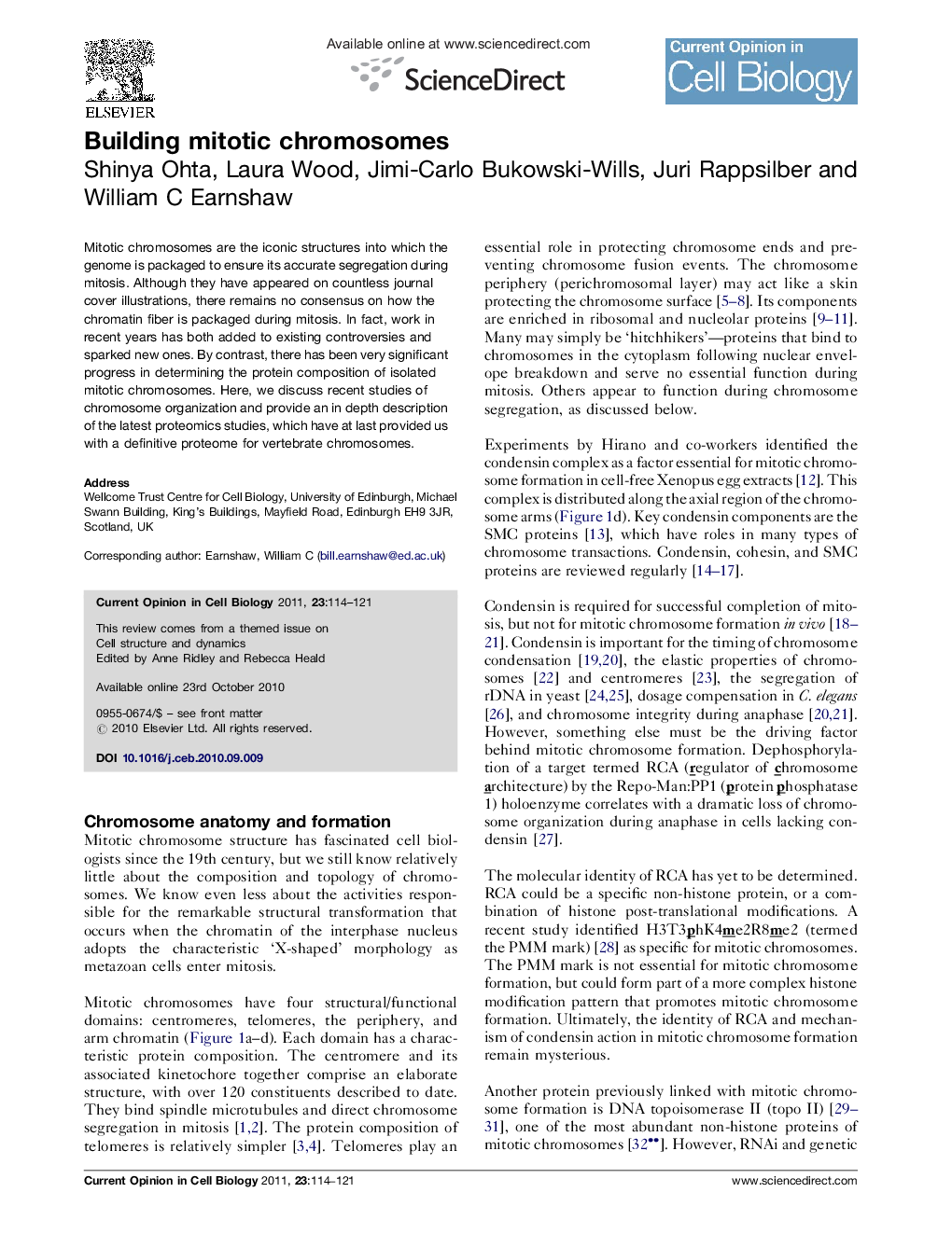 Building mitotic chromosomes