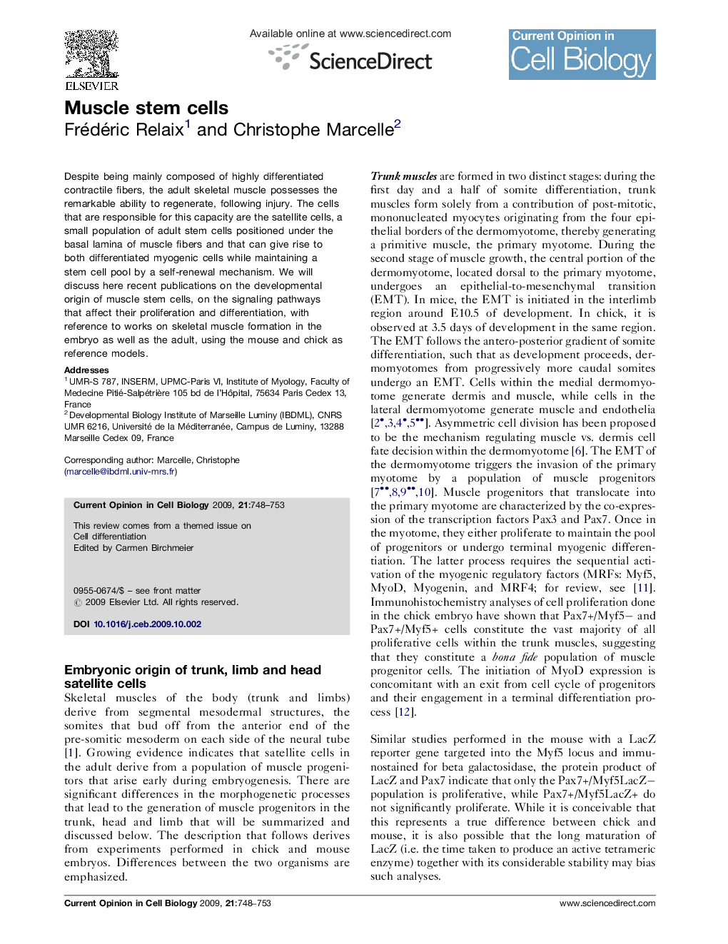 Muscle stem cells