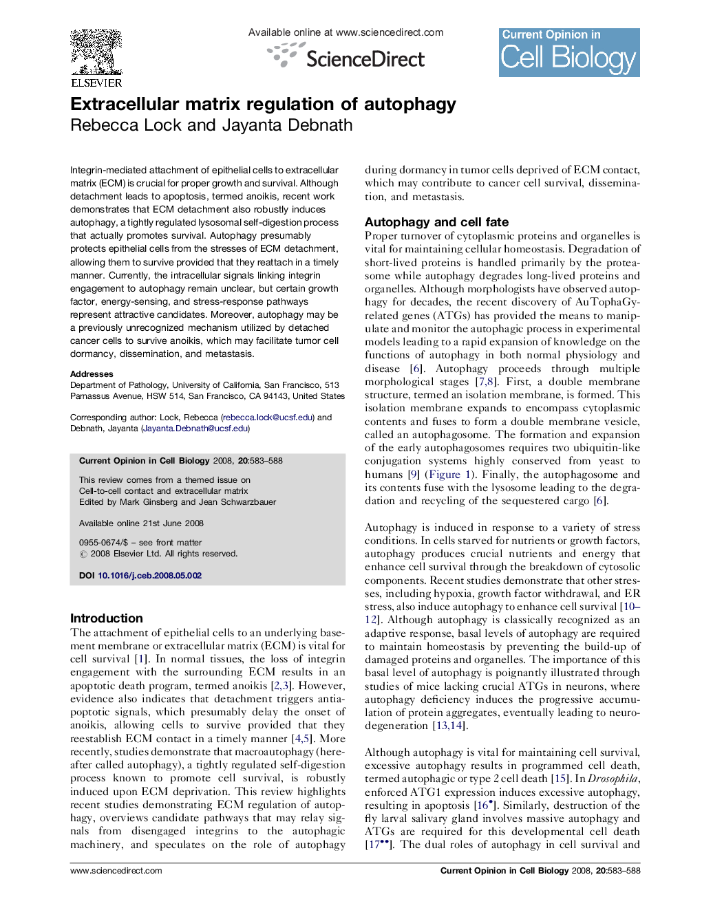 Extracellular matrix regulation of autophagy