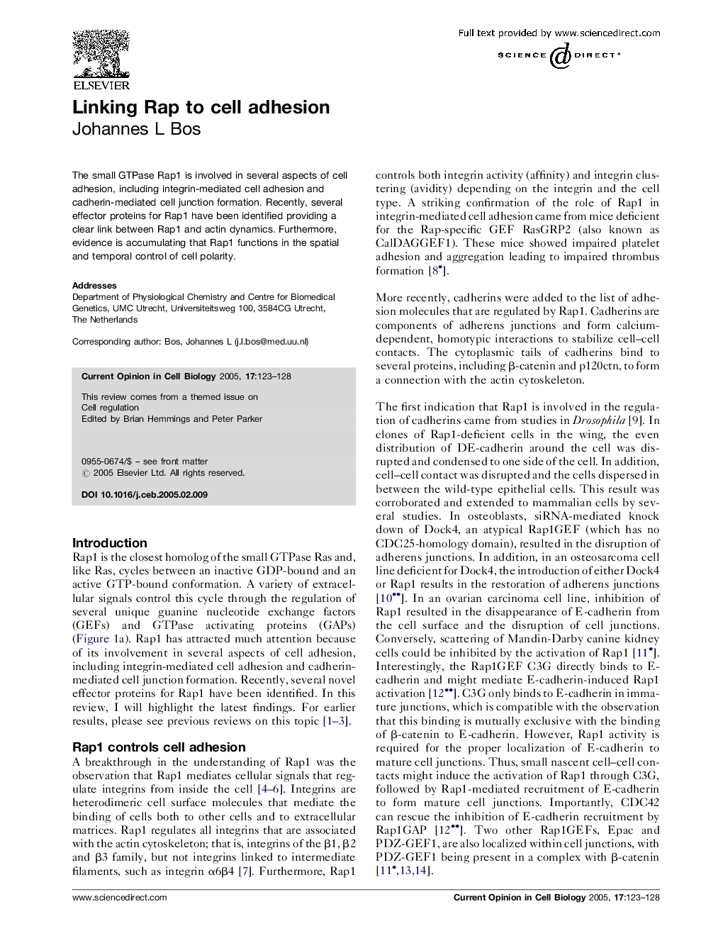 Linking Rap to cell adhesion