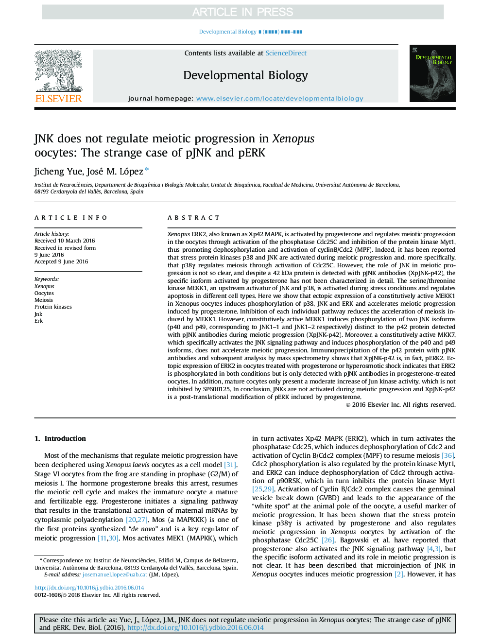 JNK does not regulate meiotic progression in Xenopus oocytes: The strange case of pJNK and pERK