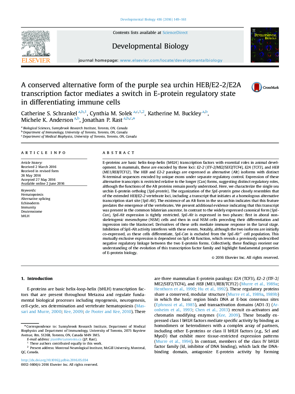 A conserved alternative form of the purple sea urchin HEB/E2-2/E2A transcription factor mediates a switch in E-protein regulatory state in differentiating immune cells