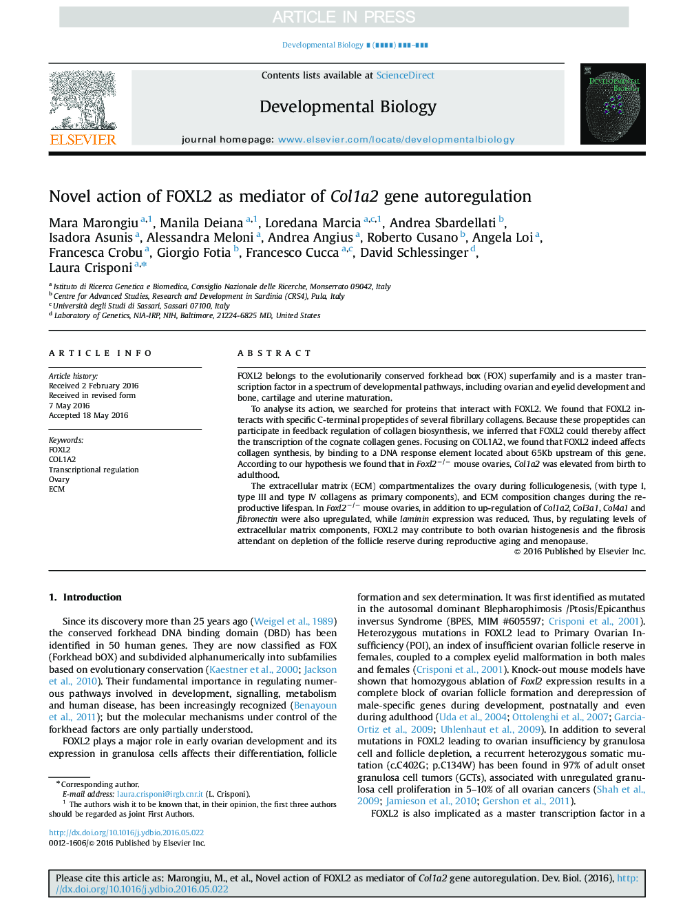 Novel action of FOXL2 as mediator of Col1a2 gene autoregulation