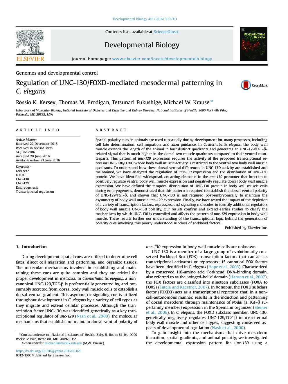 Regulation of UNC-130/FOXD-mediated mesodermal patterning in C. elegans