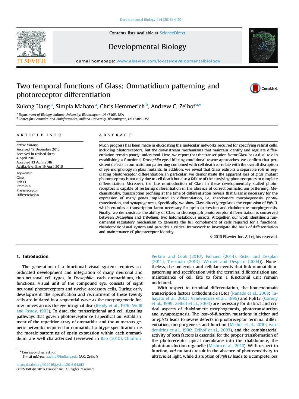 Two temporal functions of Glass: Ommatidium patterning and photoreceptor differentiation