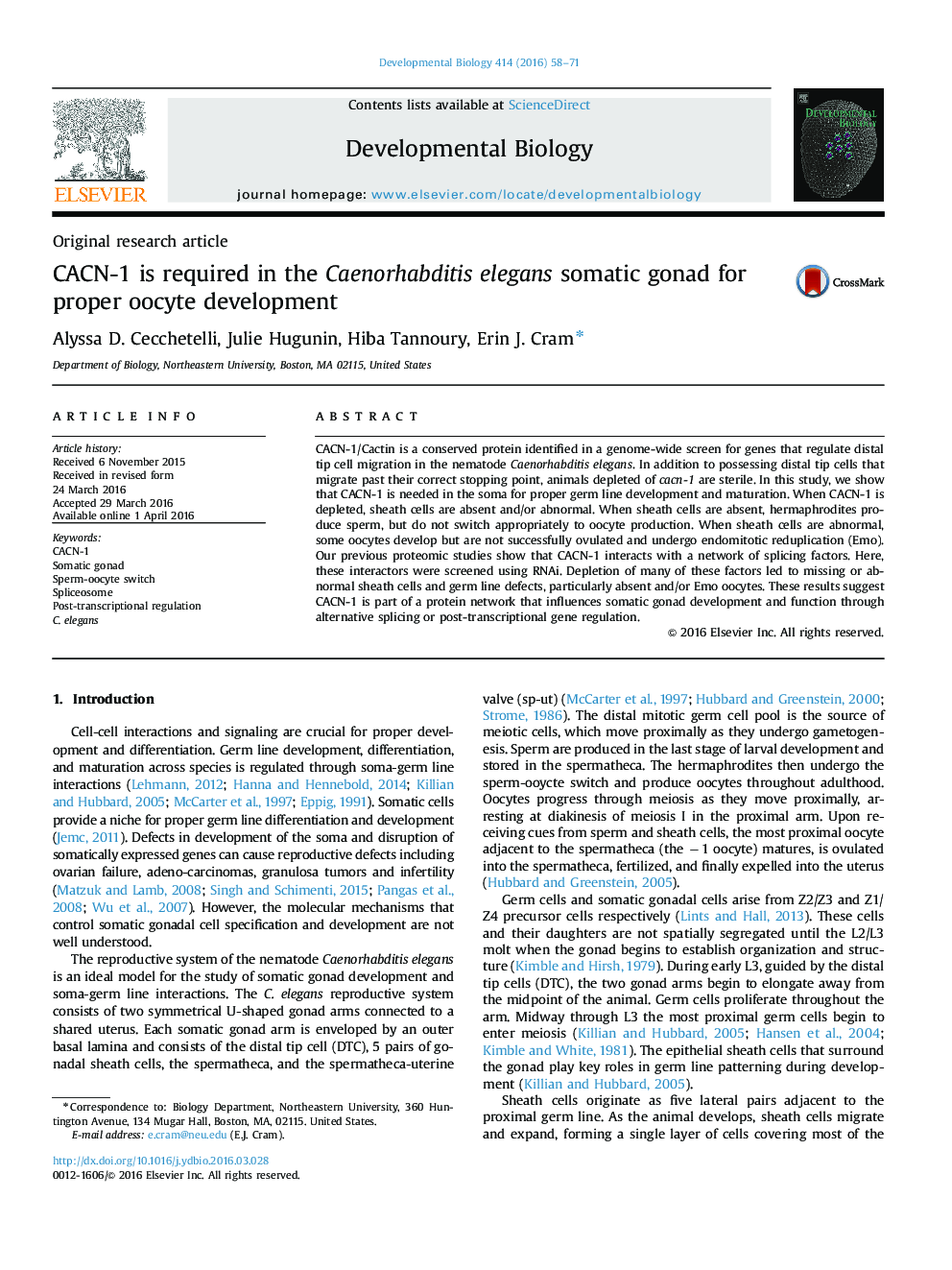 CACN-1 is required in the Caenorhabditis elegans somatic gonad for proper oocyte development