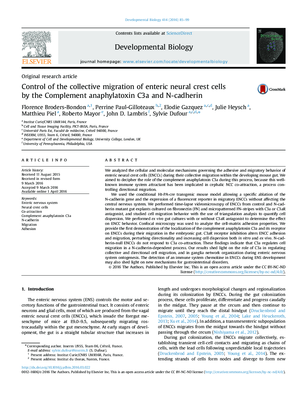 Control of the collective migration of enteric neural crest cells by the Complement anaphylatoxin C3a and N-cadherin