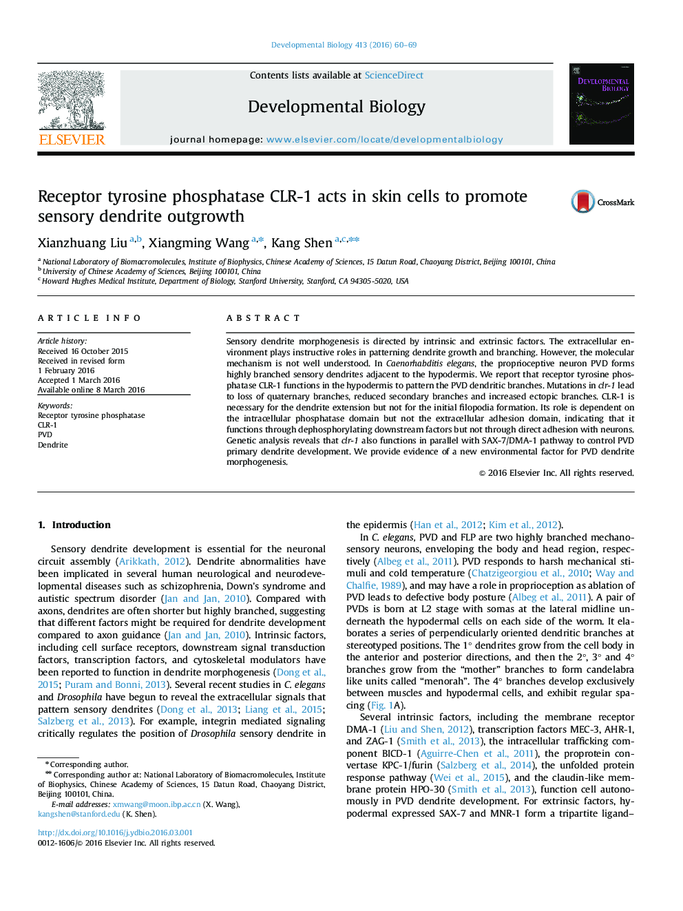 Receptor tyrosine phosphatase CLR-1 acts in skin cells to promote sensory dendrite outgrowth