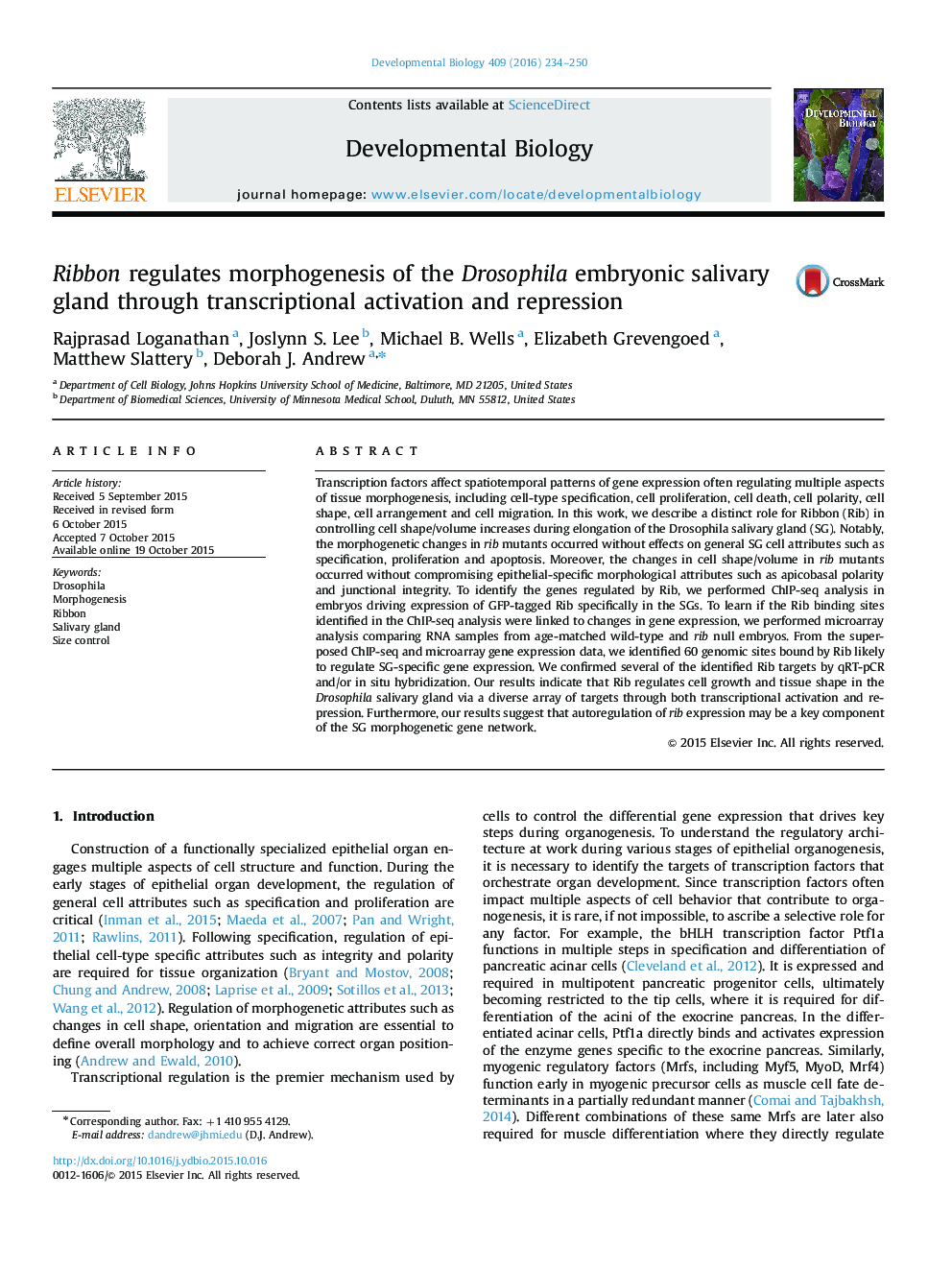 Ribbon regulates morphogenesis of the Drosophila embryonic salivary gland through transcriptional activation and repression