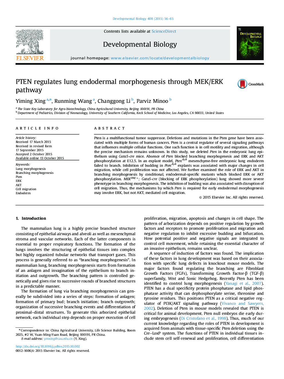 PTEN regulates lung endodermal morphogenesis through MEK/ERK pathway