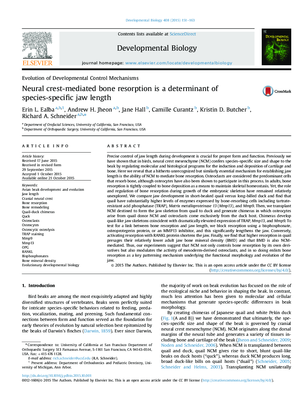 Neural crest-mediated bone resorption is a determinant of species-specific jaw length