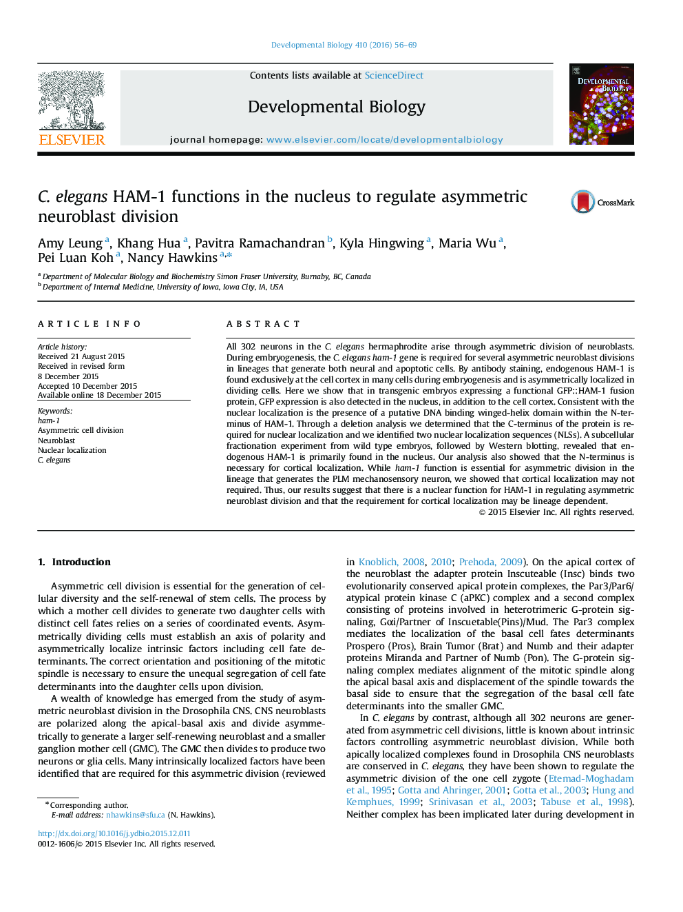 C. elegans HAM-1 functions in the nucleus to regulate asymmetric neuroblast division