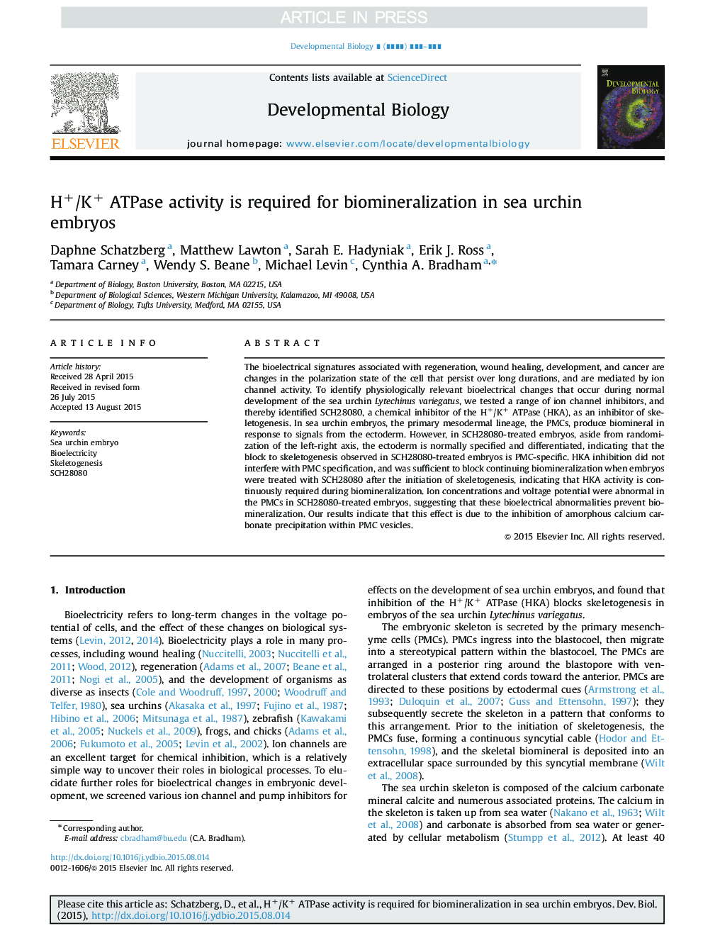 H+/K+ ATPase activity is required for biomineralization in sea urchin embryos