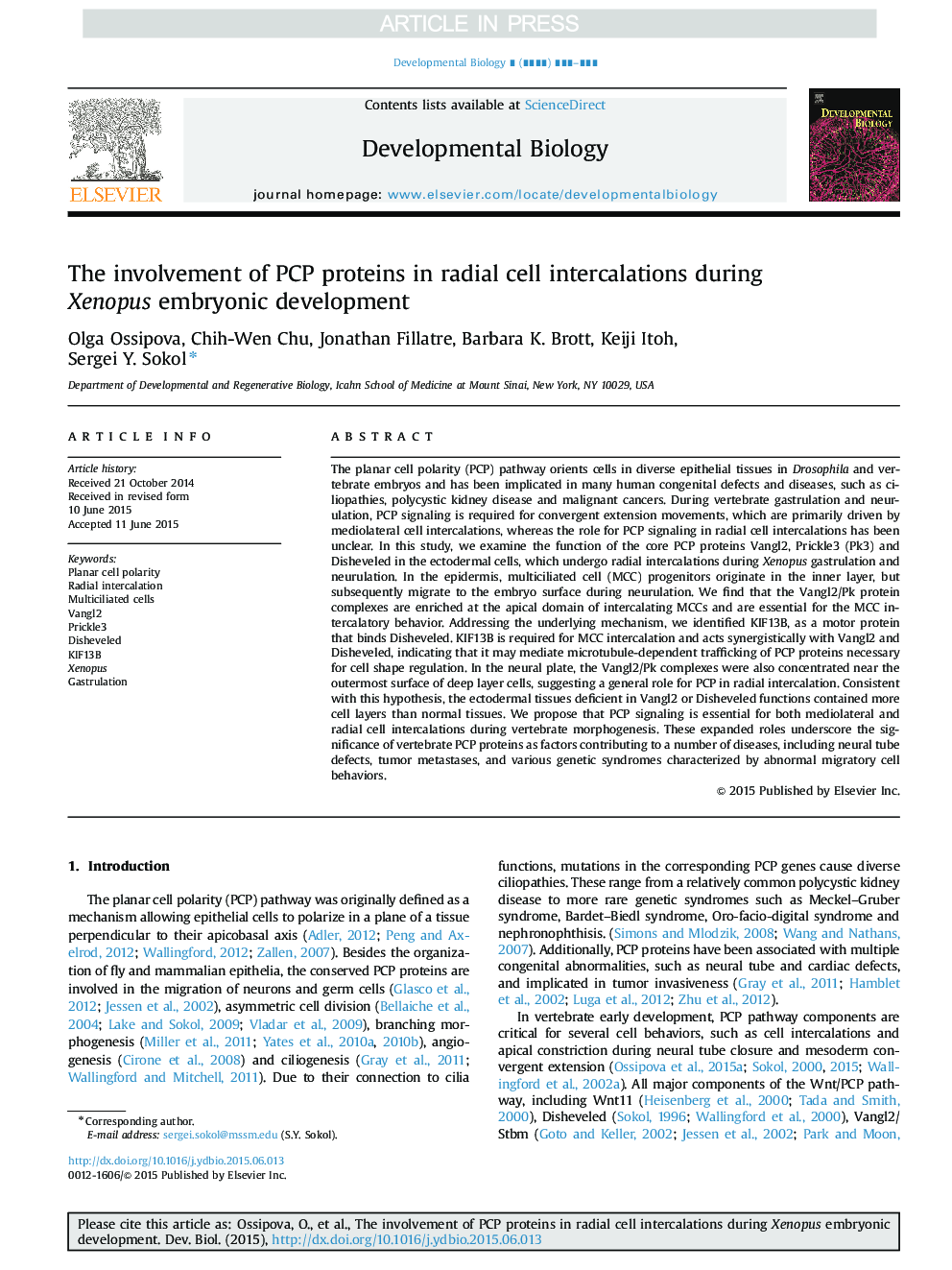 The involvement of PCP proteins in radial cell intercalations during Xenopus embryonic development