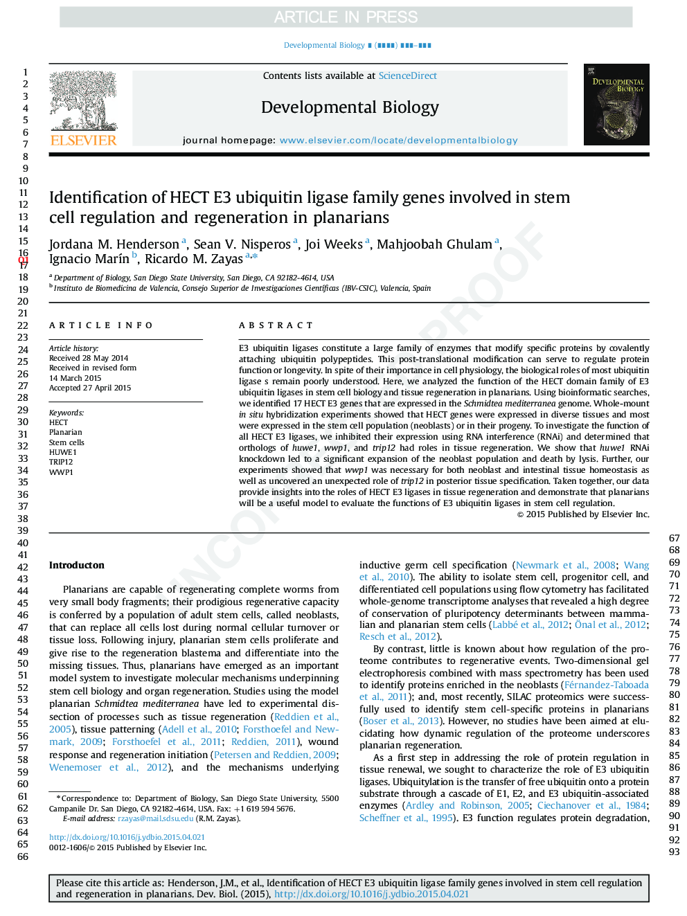 Identification of HECT E3 ubiquitin ligase family genes involved in stem cell regulation and regeneration in planarians