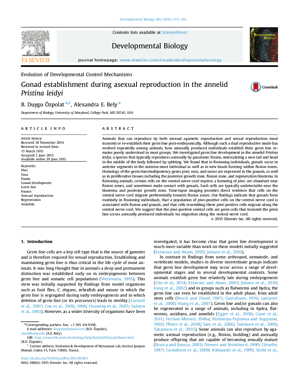 Gonad establishment during asexual reproduction in the annelid Pristina leidyi