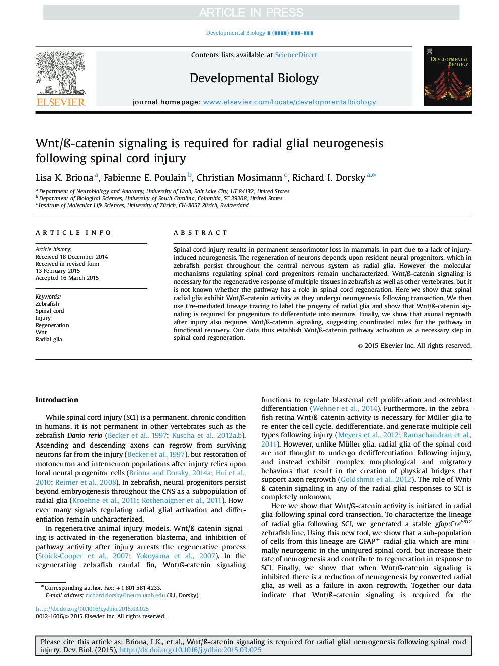 Wnt/Ã-catenin signaling is required for radial glial neurogenesis following spinal cord injury