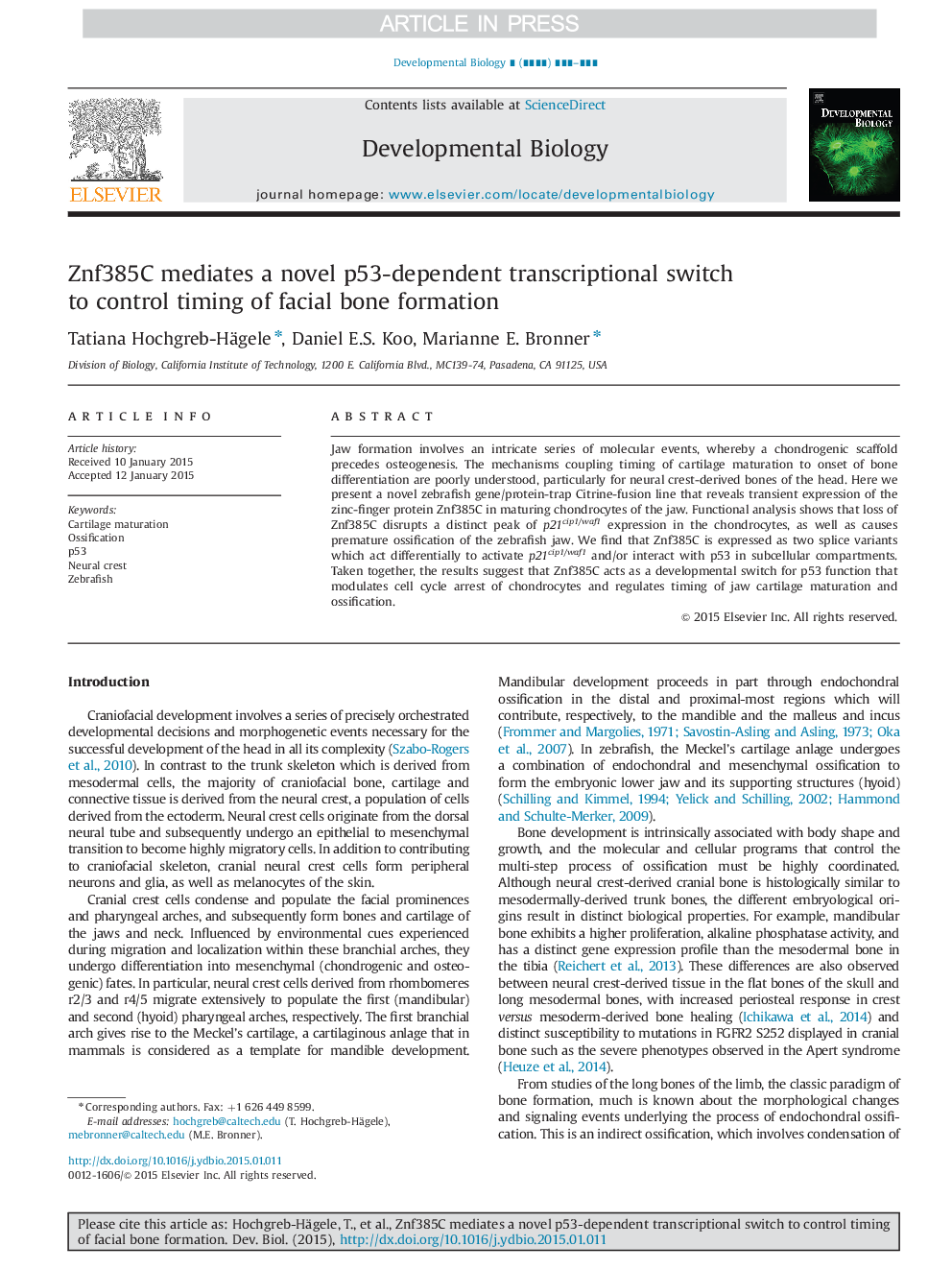 Znf385C mediates a novel p53-dependent transcriptional switch to control timing of facial bone formation