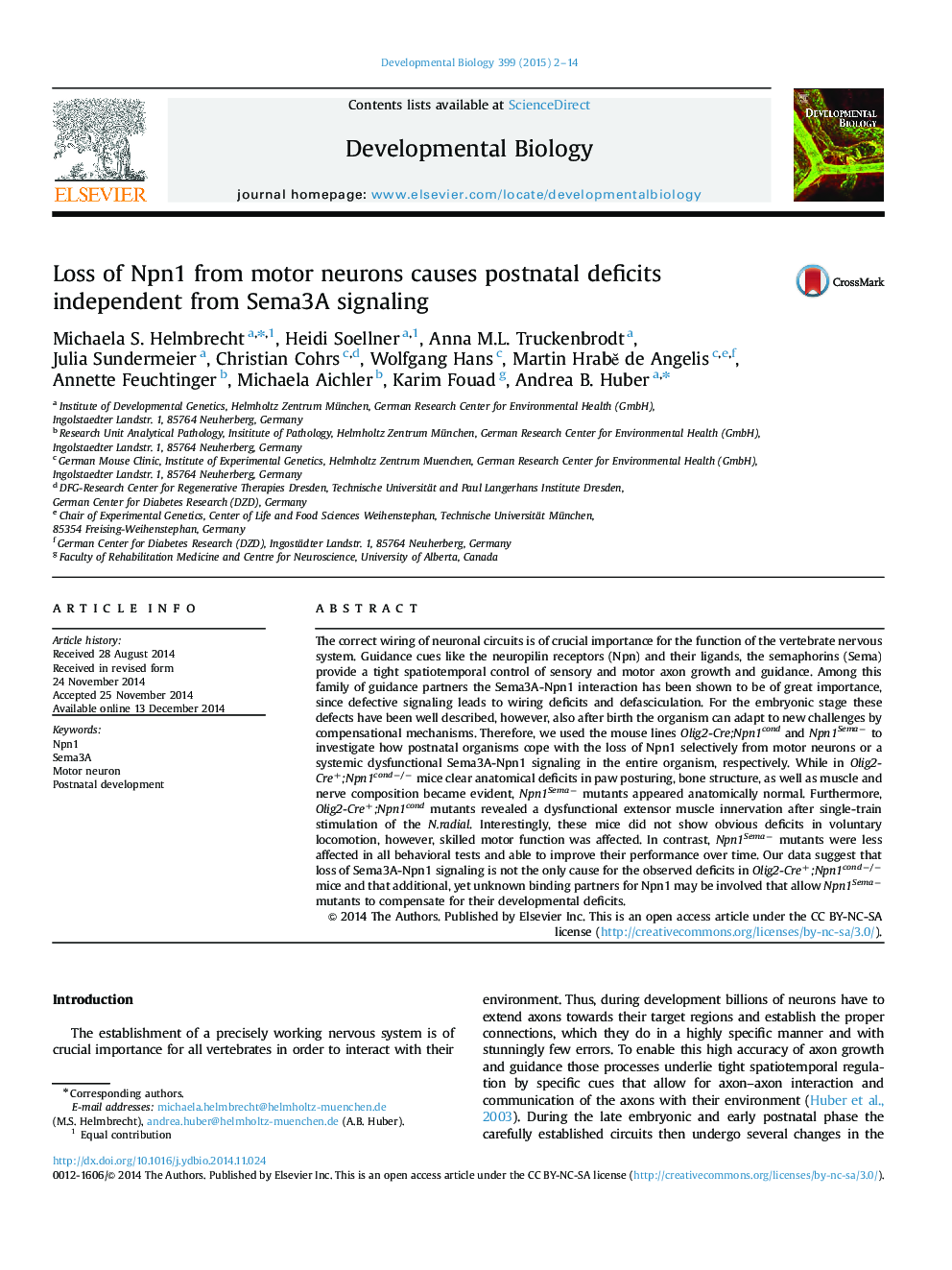 Loss of Npn1 from motor neurons causes postnatal deficits independent from Sema3A signaling