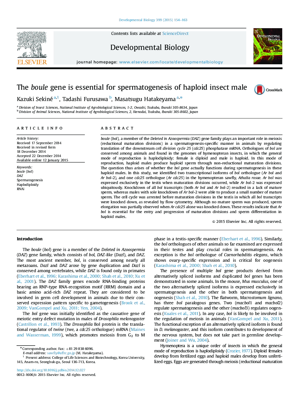 The boule gene is essential for spermatogenesis of haploid insect male