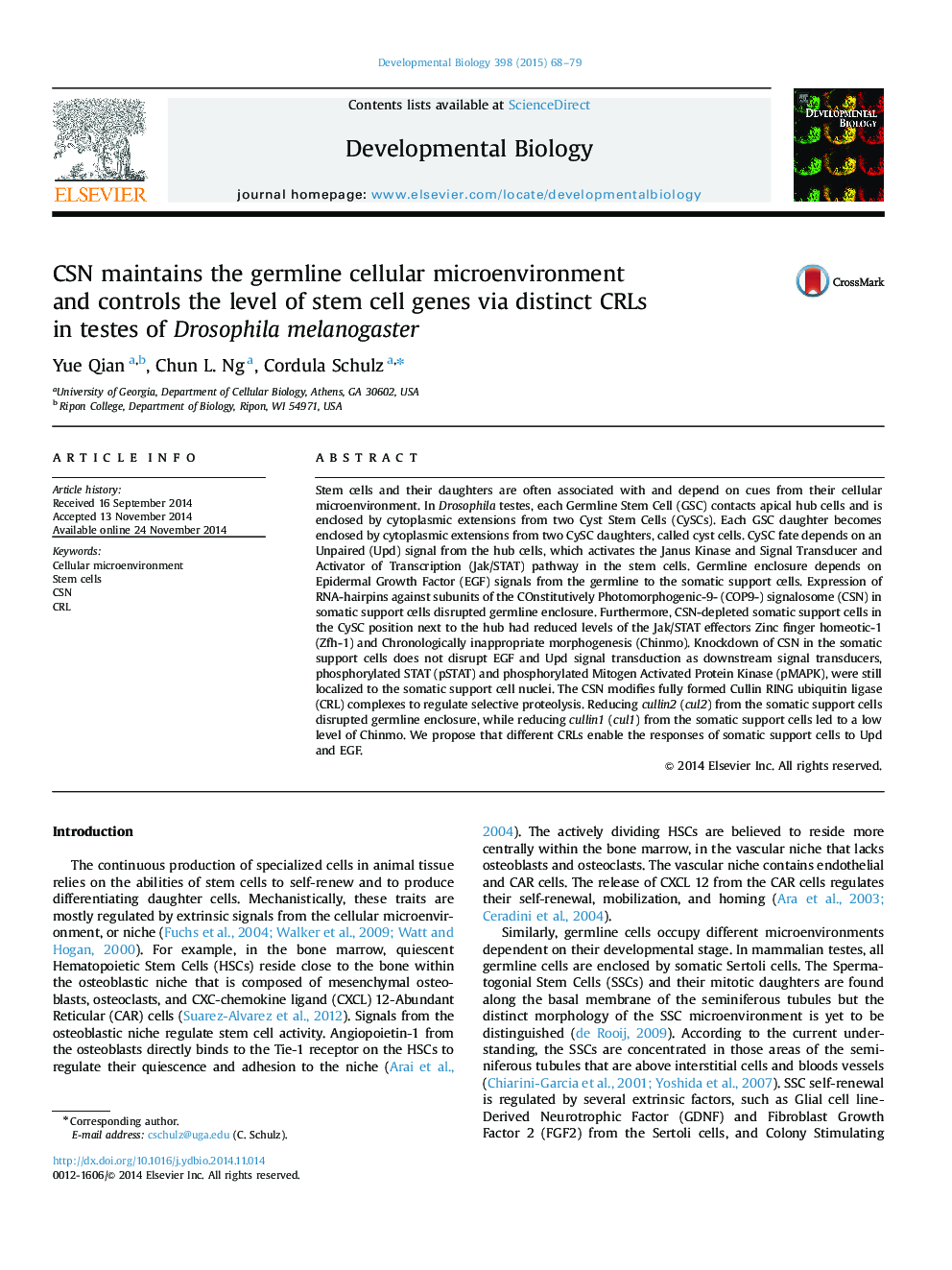 CSN maintains the germline cellular microenvironment and controls the level of stem cell genes via distinct CRLs in testes of Drosophila melanogaster