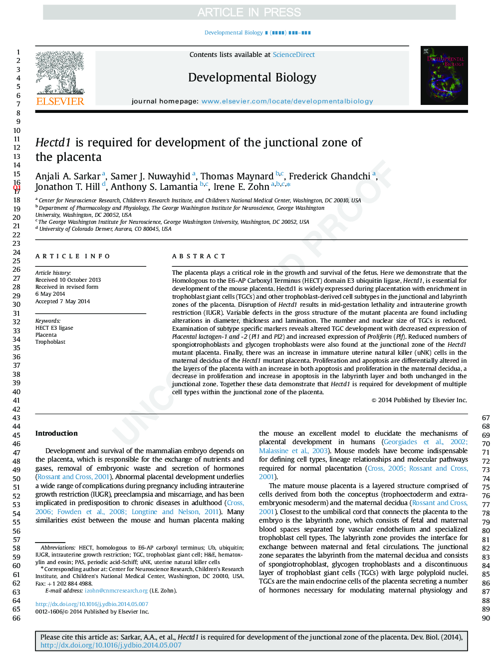 Hectd1 is required for development of the junctional zone of the placenta