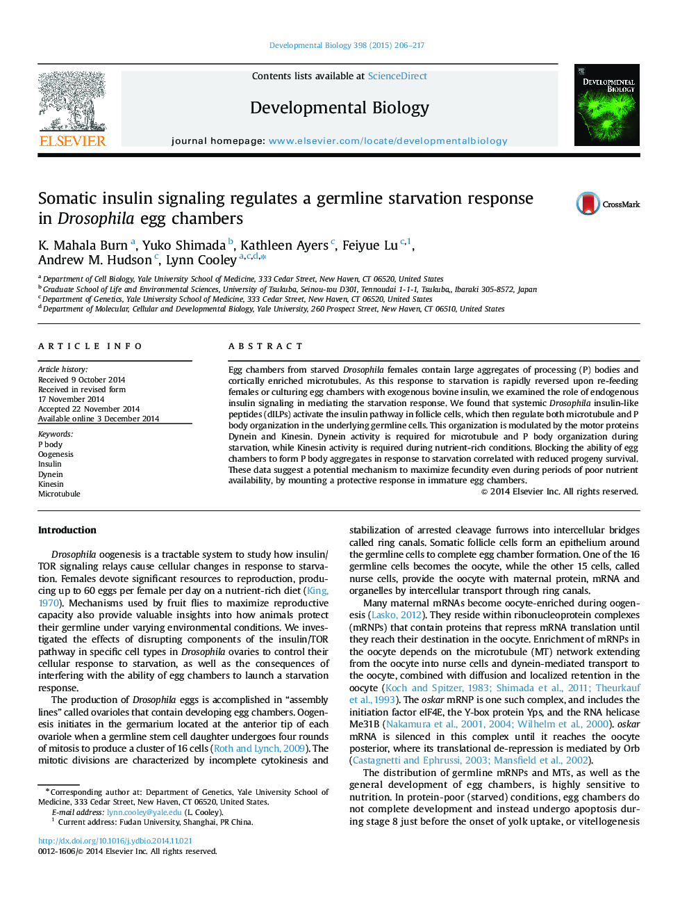 Somatic insulin signaling regulates a germline starvation response in Drosophila egg chambers
