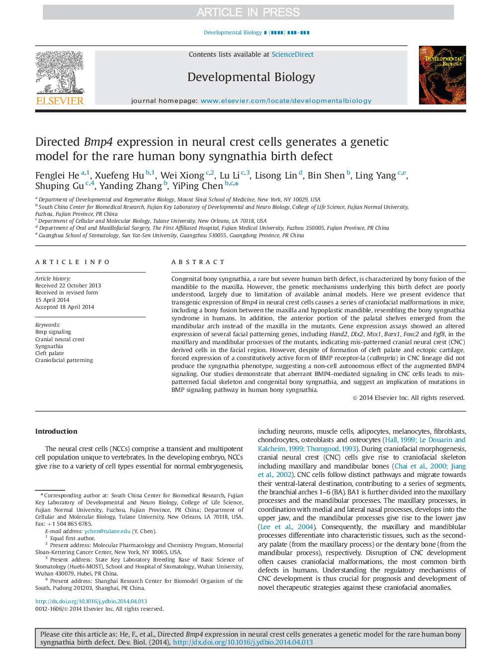 Directed Bmp4 expression in neural crest cells generates a genetic model for the rare human bony syngnathia birth defect