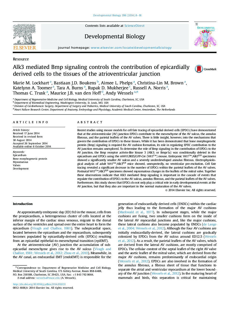 Alk3 mediated Bmp signaling controls the contribution of epicardially derived cells to the tissues of the atrioventricular junction