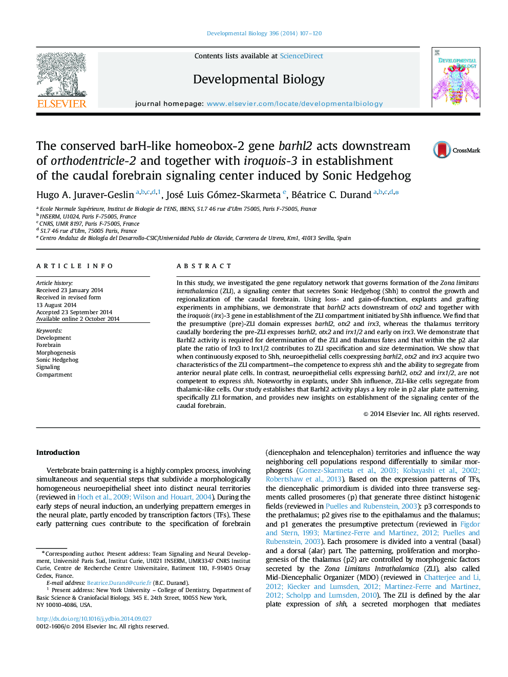 The conserved barH-like homeobox-2 gene barhl2 acts downstream of orthodentricle-2 and together with iroquois-3 in establishment of the caudal forebrain signaling center induced by Sonic Hedgehog