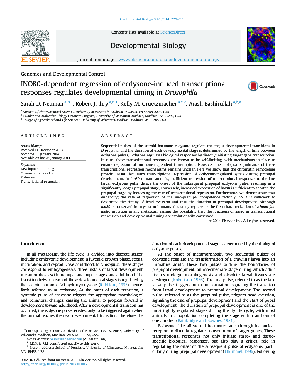 INO80-dependent regression of ecdysone-induced transcriptional responses regulates developmental timing in Drosophila