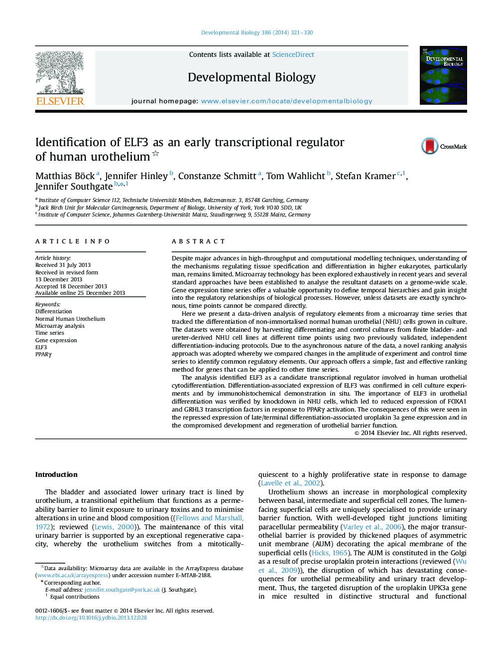 Identification of ELF3 as an early transcriptional regulator of human urothelium