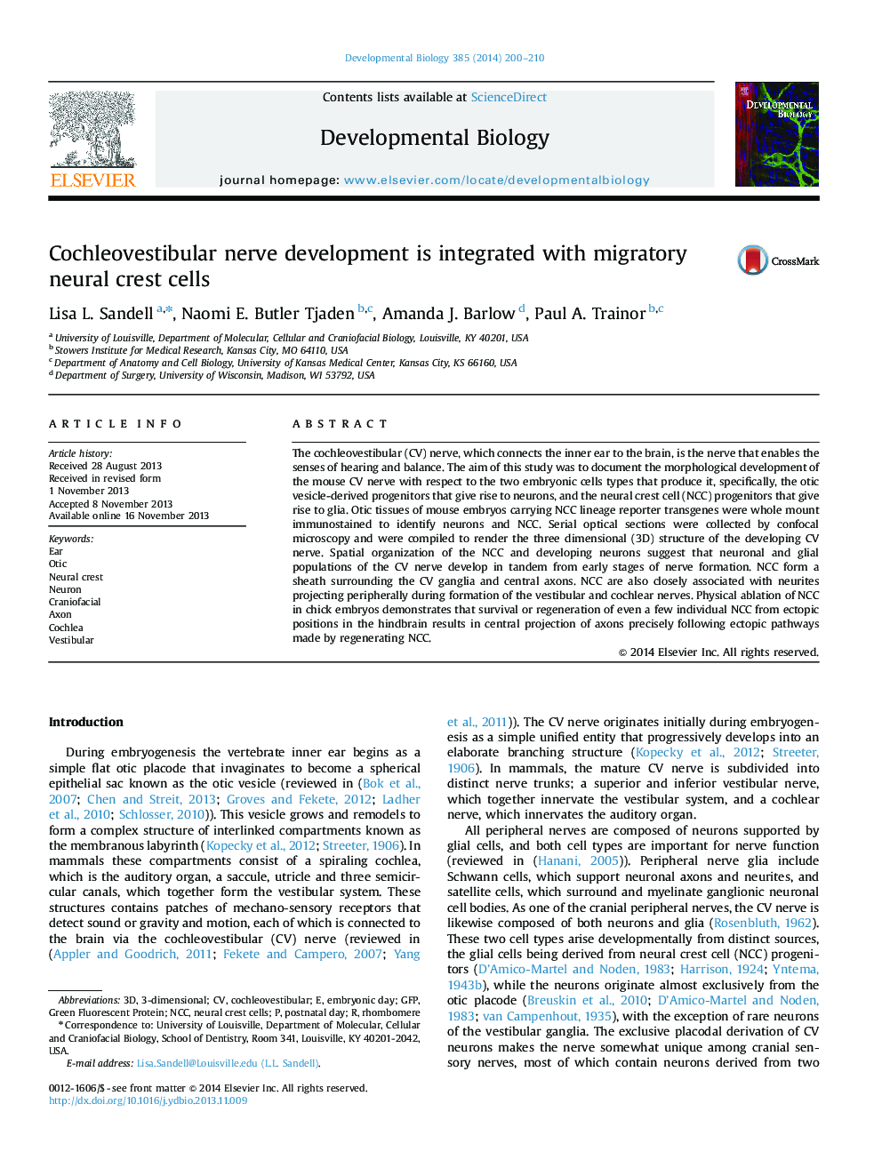 Cochleovestibular nerve development is integrated with migratory neural crest cells