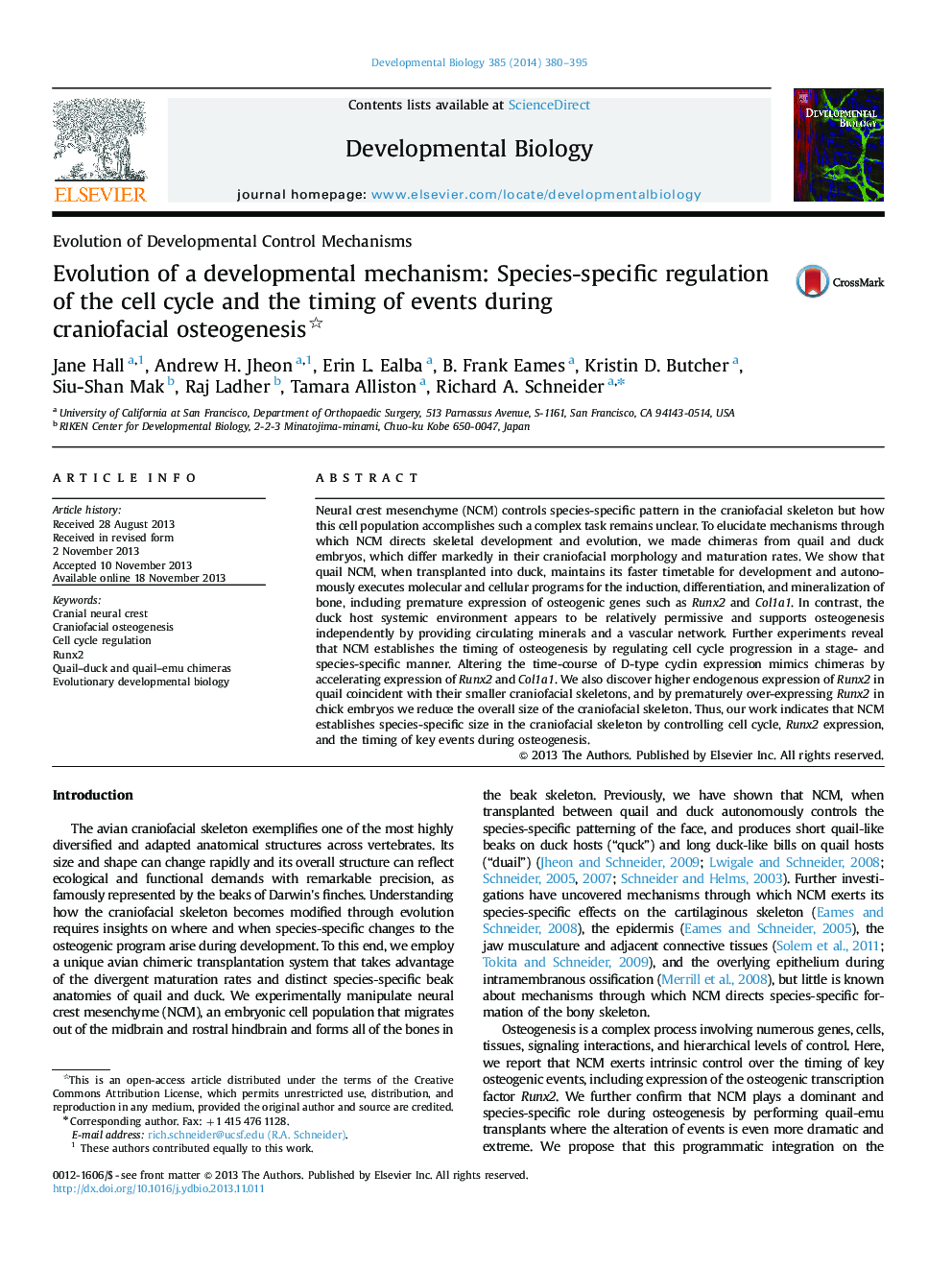 Evolution of a developmental mechanism: Species-specific regulation of the cell cycle and the timing of events during craniofacial osteogenesis