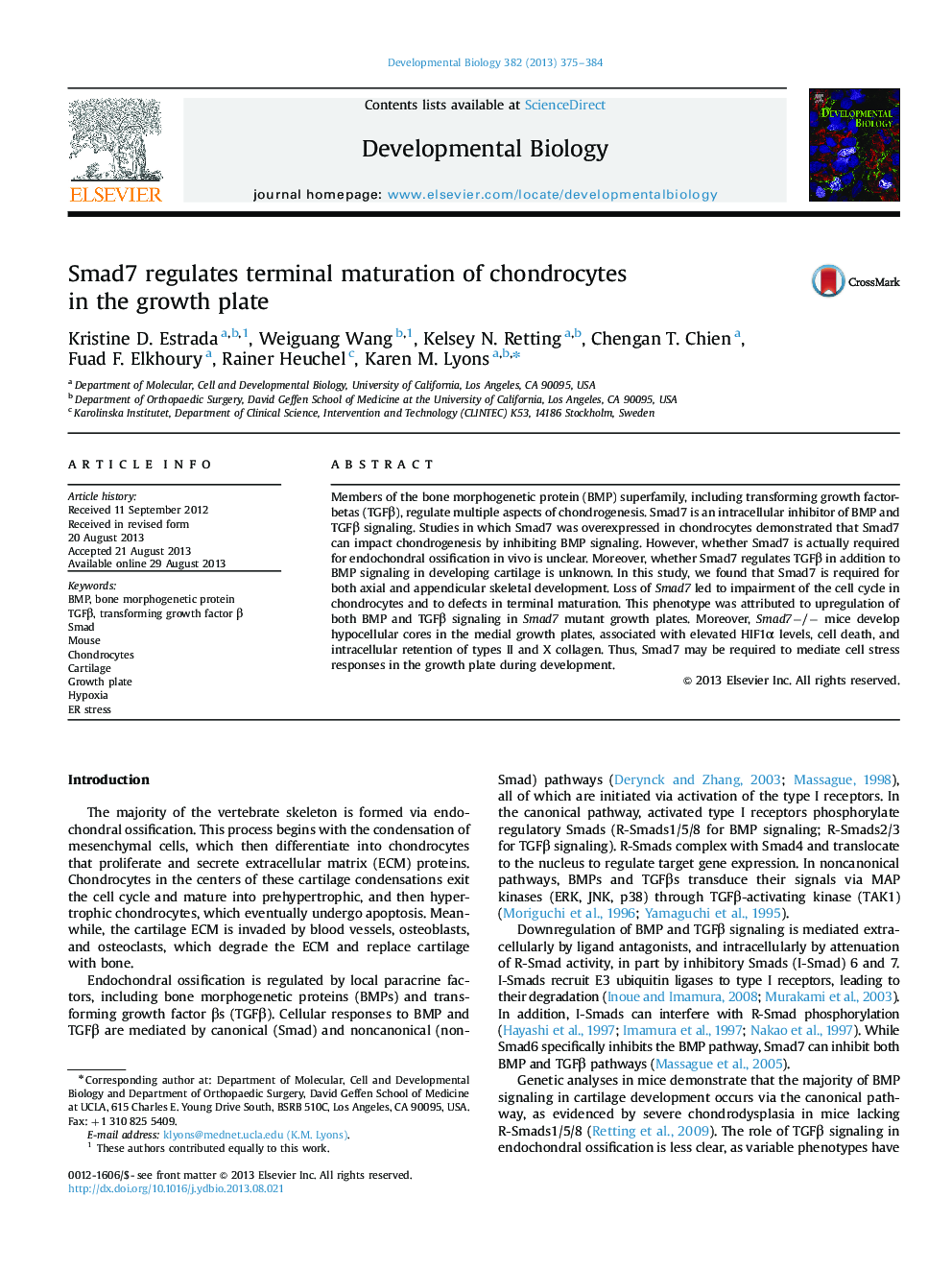 Smad7 regulates terminal maturation of chondrocytes in the growth plate