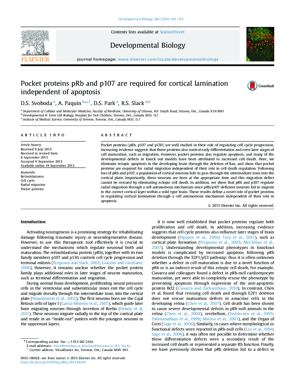 Pocket proteins pRb and p107 are required for cortical lamination independent of apoptosis