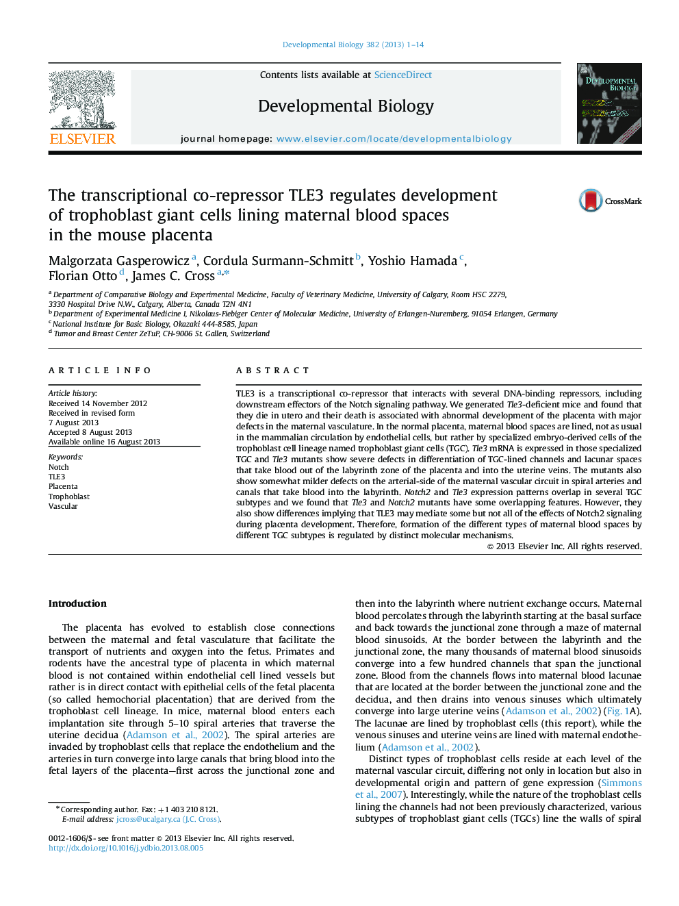 The transcriptional co-repressor TLE3 regulates development of trophoblast giant cells lining maternal blood spaces in the mouse placenta