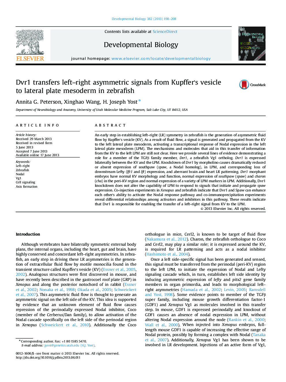 Dvr1 transfers left-right asymmetric signals from Kupffer's vesicle to lateral plate mesoderm in zebrafish