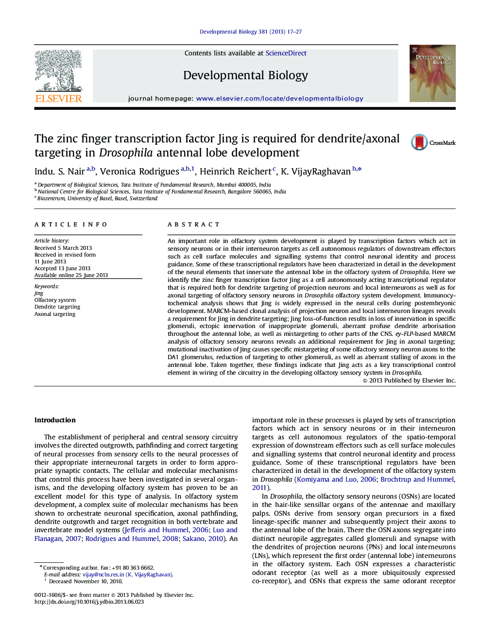 The zinc finger transcription factor Jing is required for dendrite/axonal targeting in Drosophila antennal lobe development